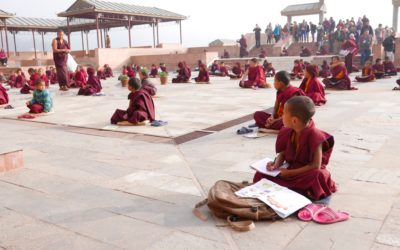 Opération : Des professeurs pour Sharminub