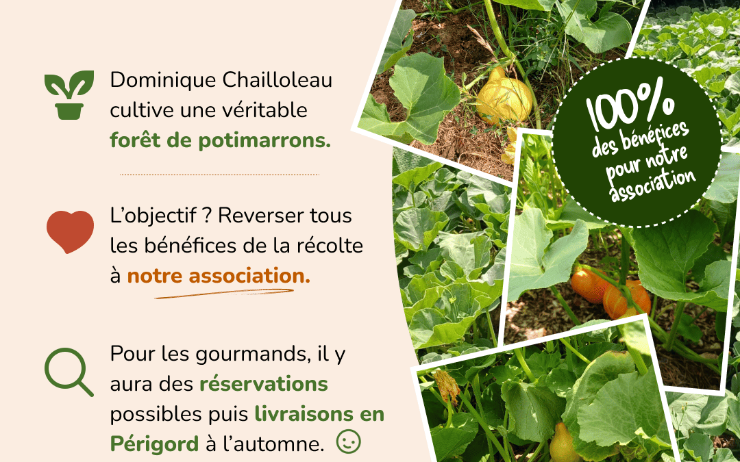 Des potimarrons pour le Nepal