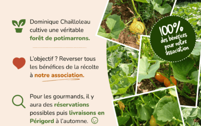 Des potimarrons pour le Nepal
