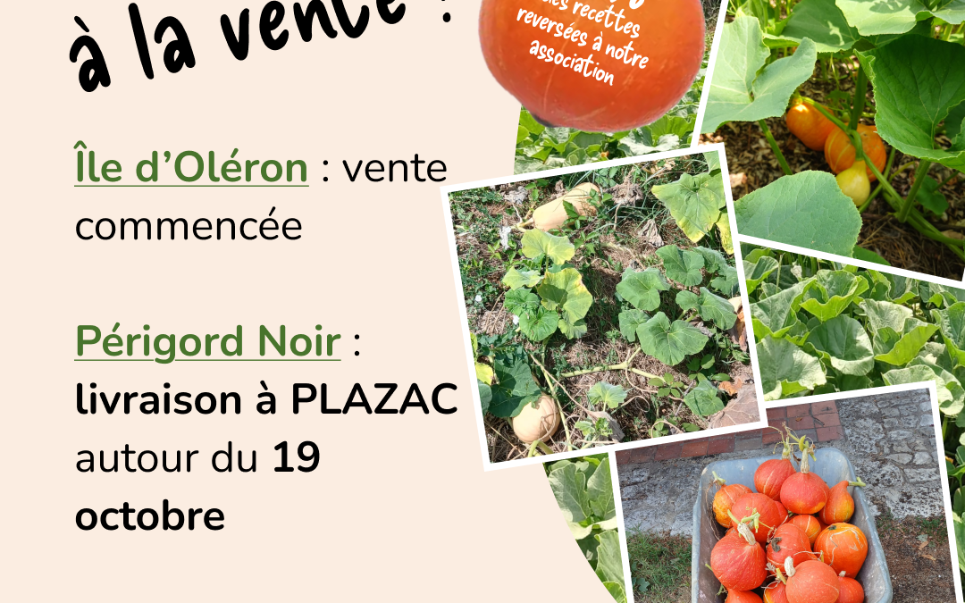 Potimarrons solidaires