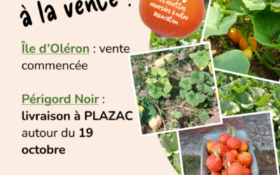 Potimarrons solidaires